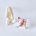 🐰 Caja Dulce Conejito: Un regalo que derrite corazones 💖🍓